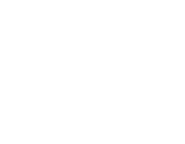 maxiSoft